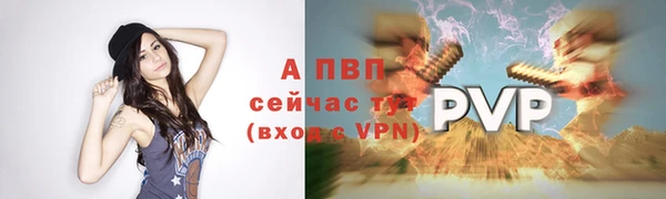 винт Богородицк